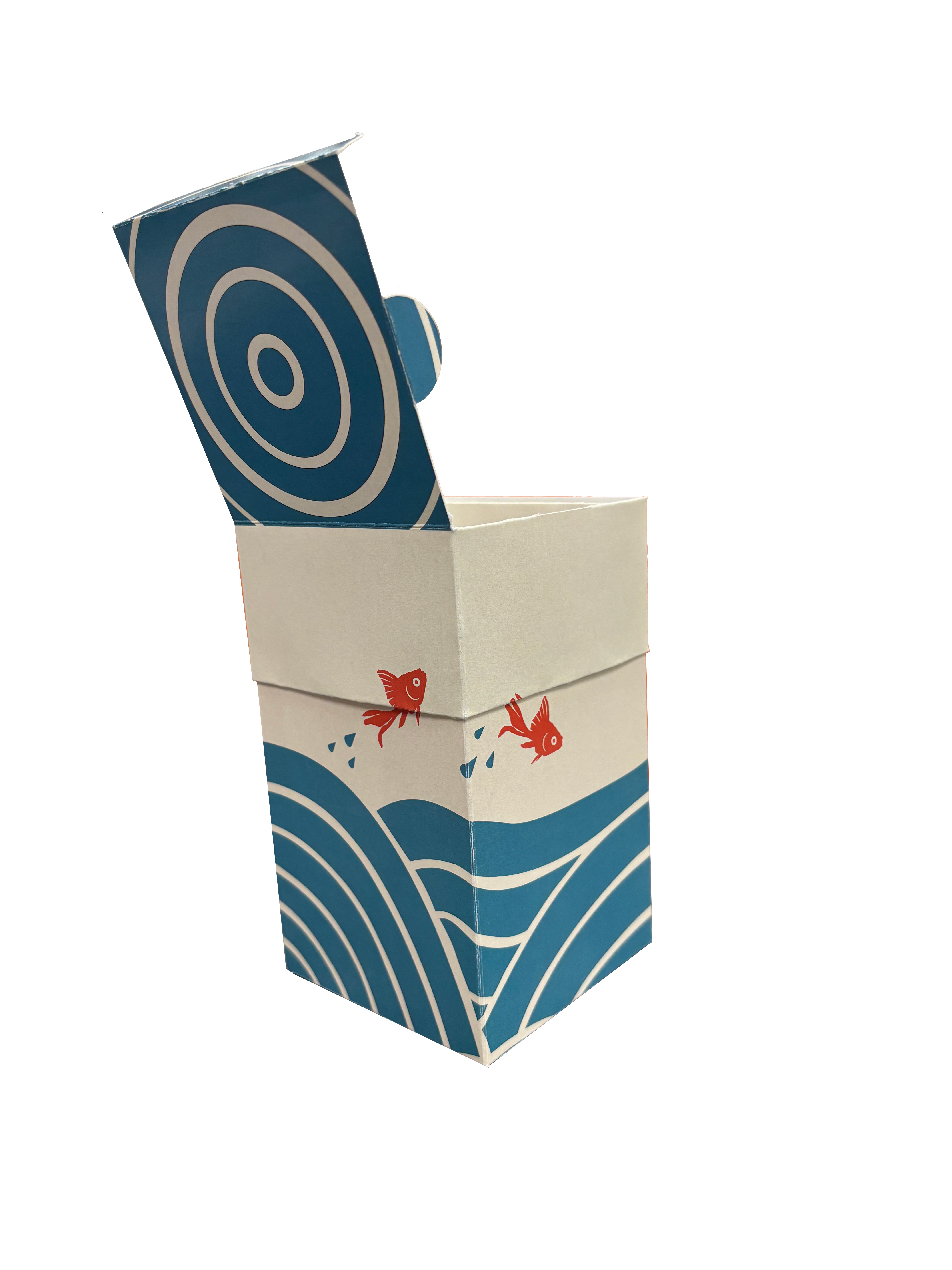 Folded and assembled packaging box photo open.